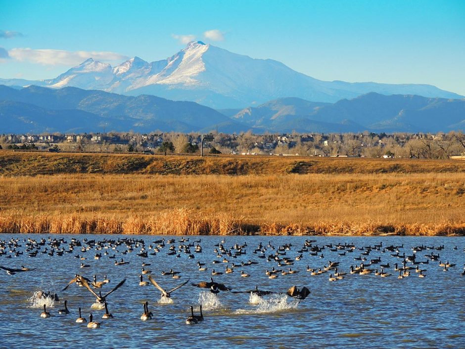 Lafayette homes for sale with Colorado Flat Fee Realty in picturesque suburb